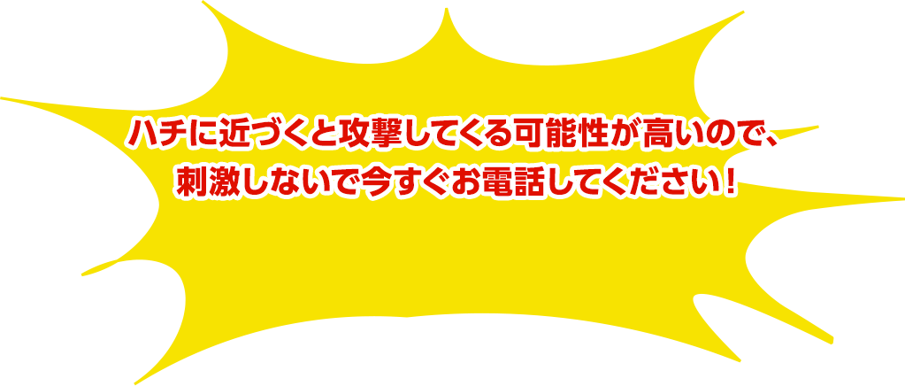 ハチに近づくと攻撃してくる可能性が高いので、刺激しないで今すぐお電話してください！