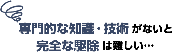 専門的な知識や技術が無いと完全な駆除は難しい