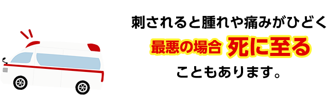 刺されると腫れや痛みがひどく、最悪の場合死に至るここもあります。