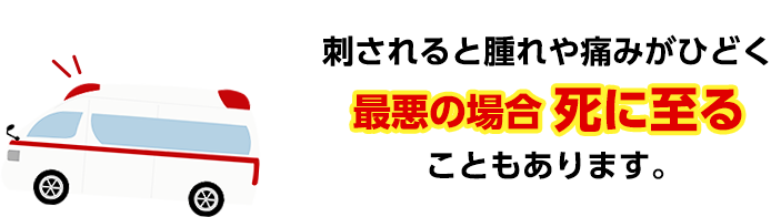 刺されると腫れや痛みがひどく、最悪の場合死に至るここもあります。