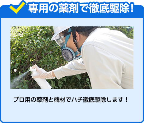 専用の薬剤で徹底駆除