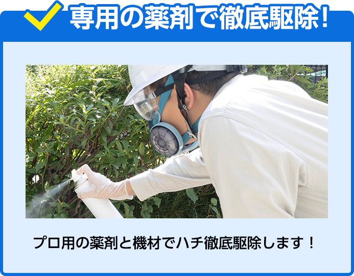 専用の薬剤で徹底駆除